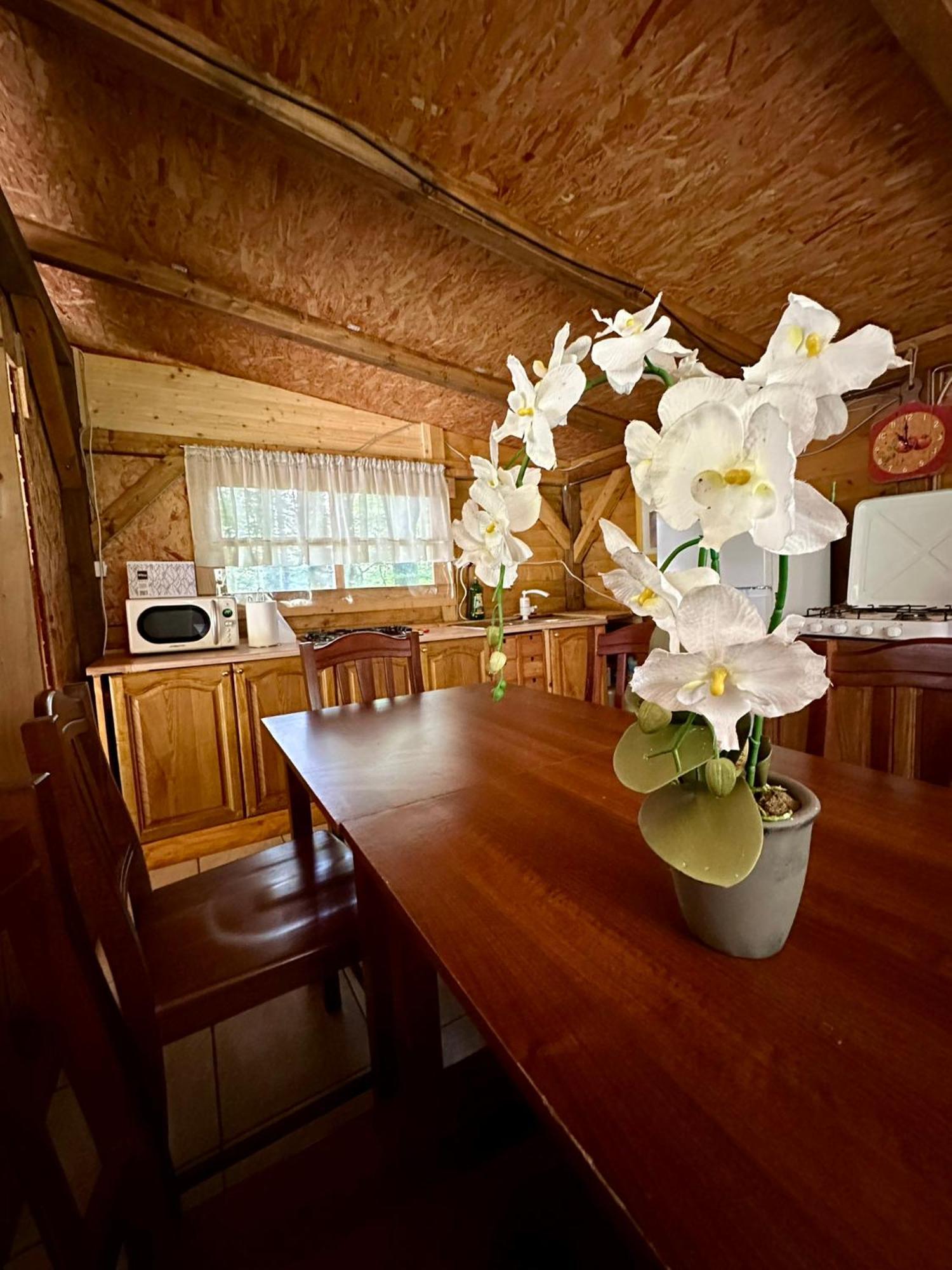 Glamping Krn Hotell Kobarid Exteriör bild